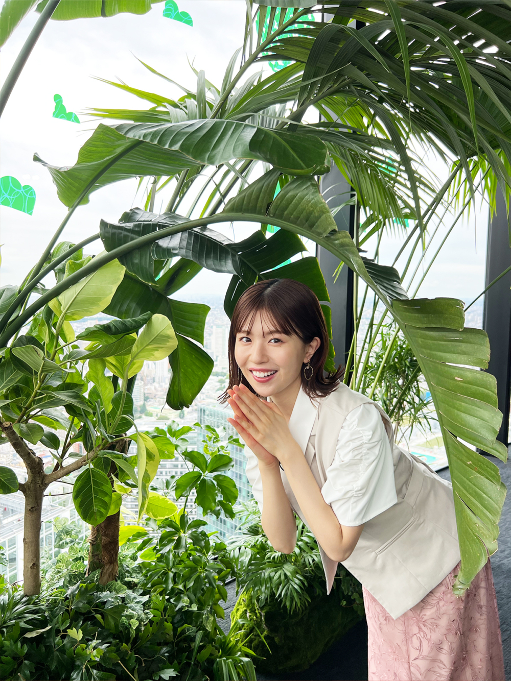 根據植物外觀形狀及形態的日本擬聲詞劃分為5大區域～