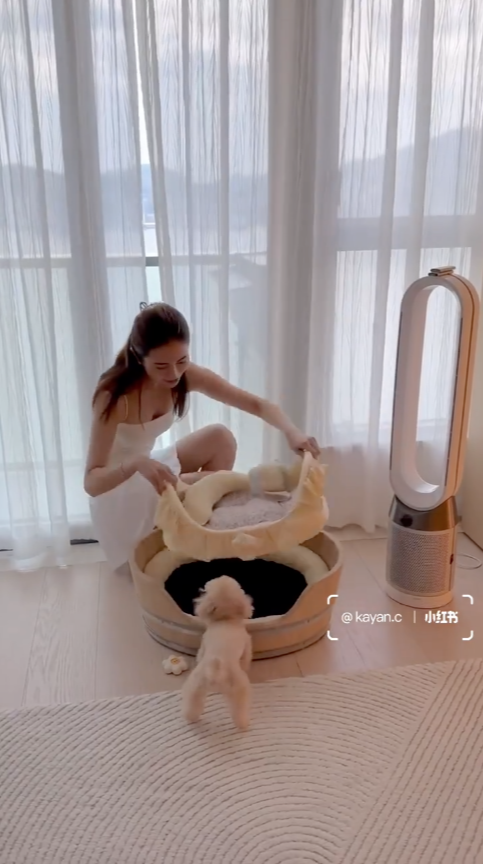 蔡嘉欣同未婚夫愛巢嘅內部裝修最引人關注嘅係背景中嘅窗台,雖然拉咗窗簾,但都睇得出係180度無敵海景!