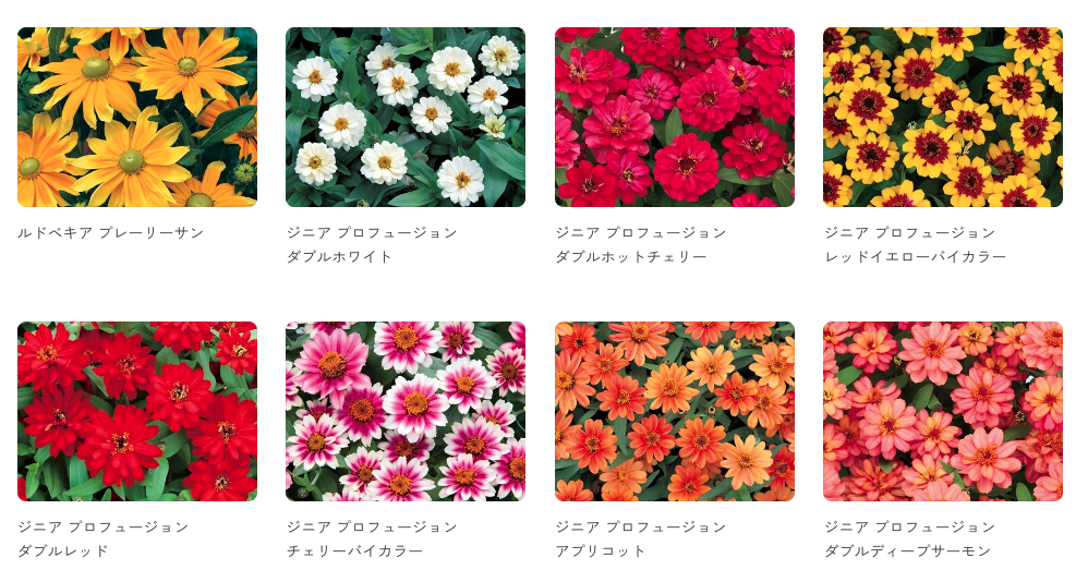 本栖湖渡假村 官網