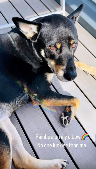 黃心穎喺IG Story分享一張愛犬嘅照片，相中狗狗手肘處有彩虹，黃心穎留言：「Rainbow on my elbow」、「No one luckier than me」