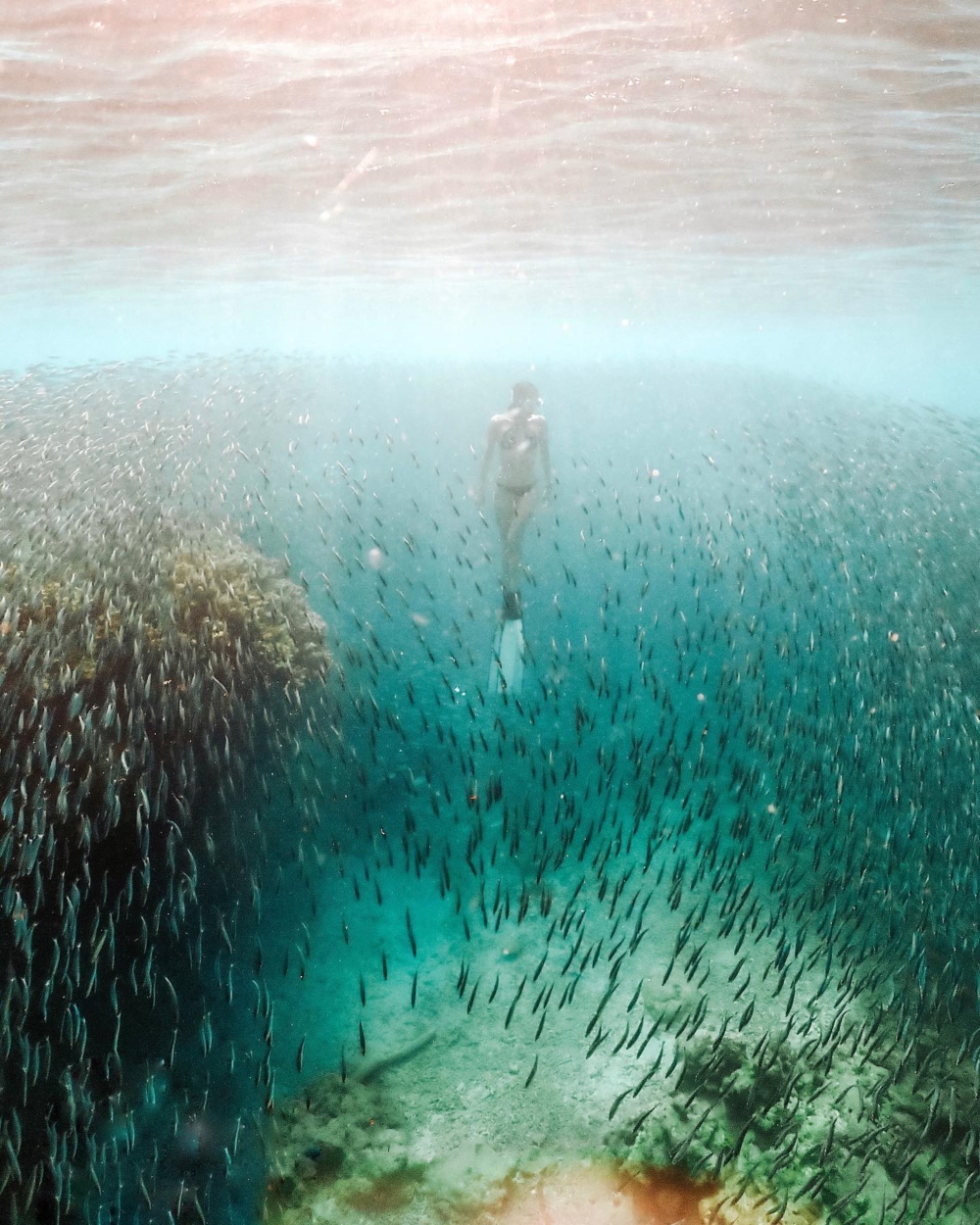 麥明詩喺Facebook晒出一張潛水照