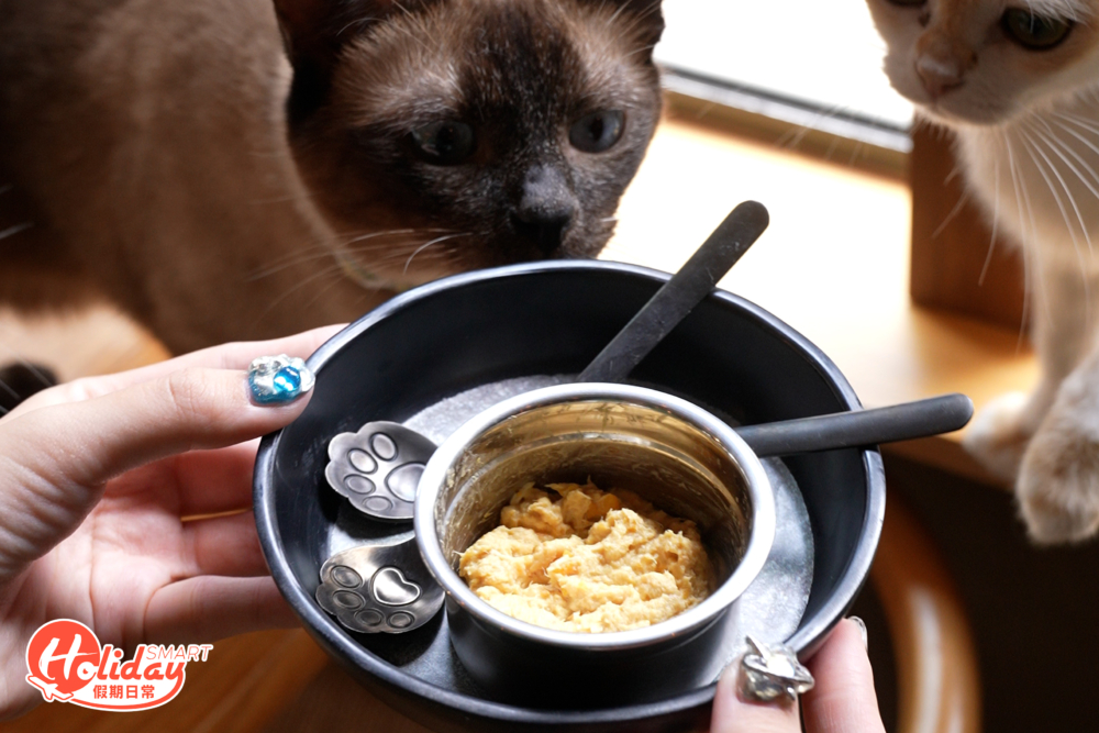 近距離餵用時可趁機打卡影相。