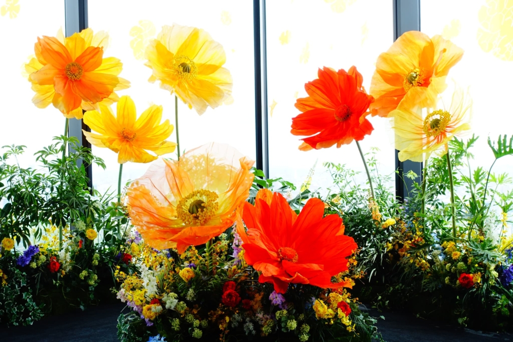 體驗海拔高達229米的高空上賞花打卡！