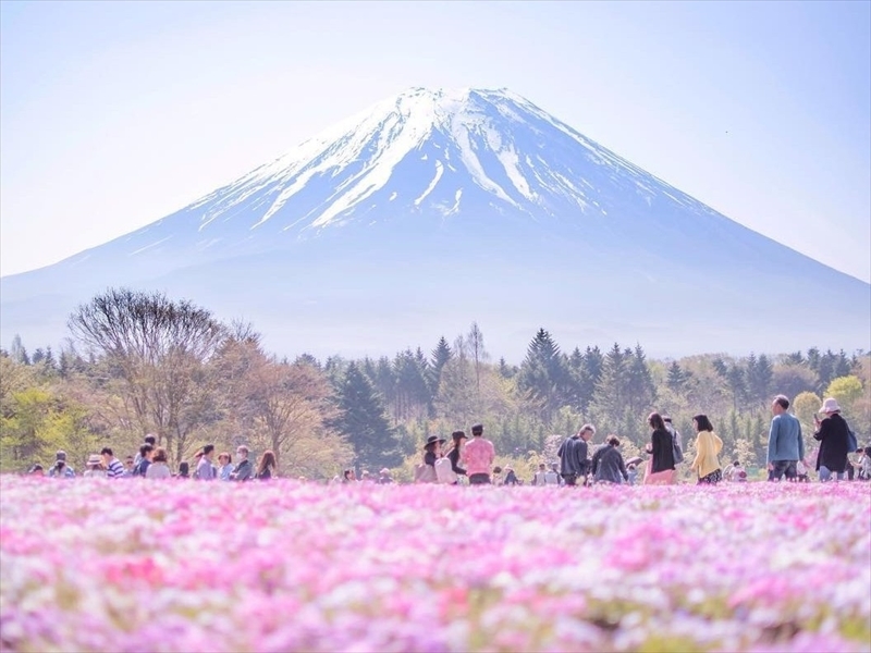 本栖湖渡假村 官網