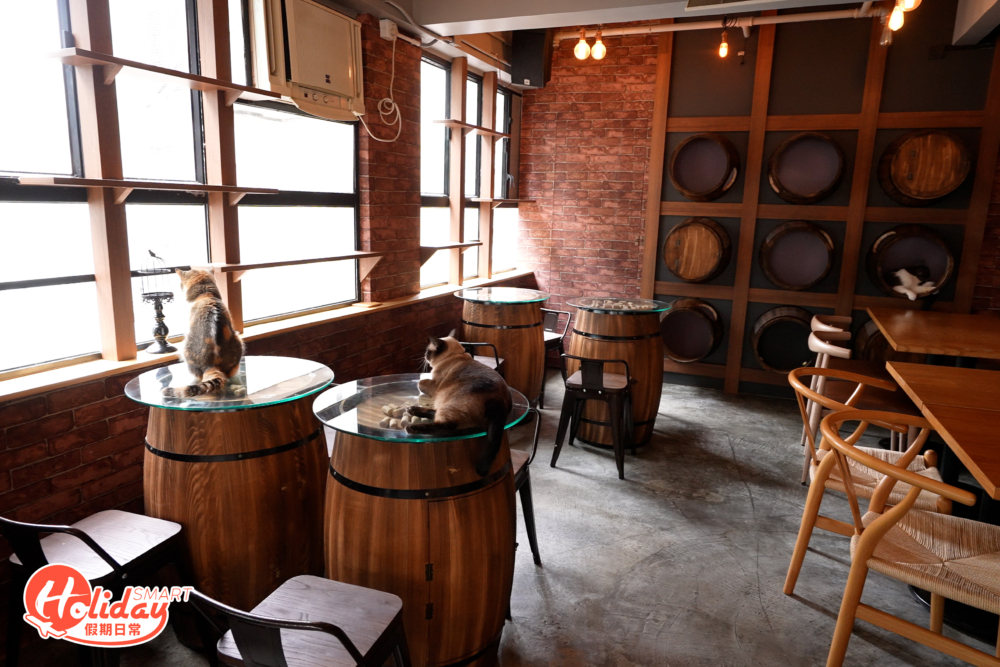 旺角「Meowtini Cat cafe & Bar」佔地1,200呎,裝修設計充滿格調。