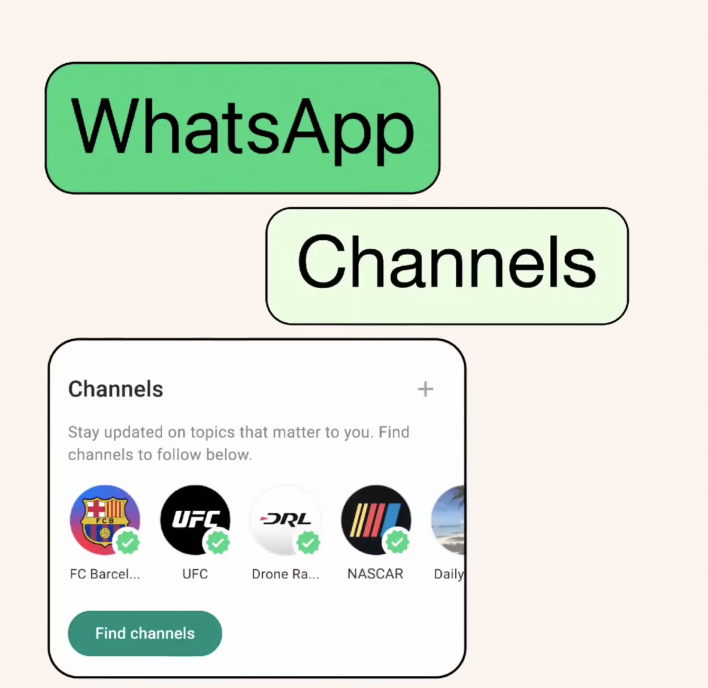 WhatsApp全新功能「WhatsApp頻道」正式登陸香港！