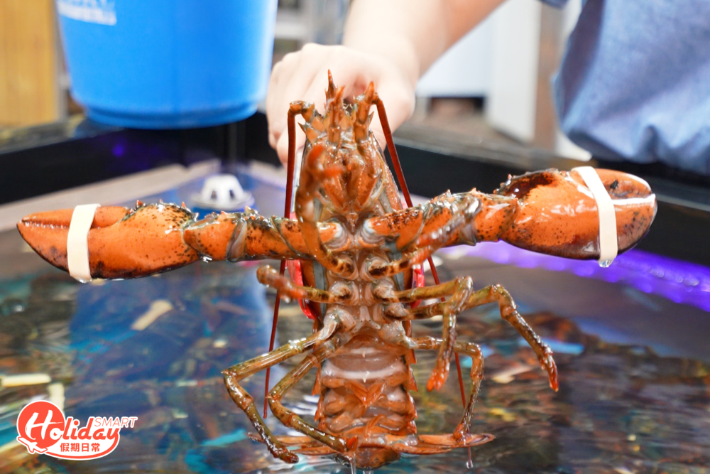龍蝦雖為定量供應，但都可於水缸中選擇心水龍蝦。