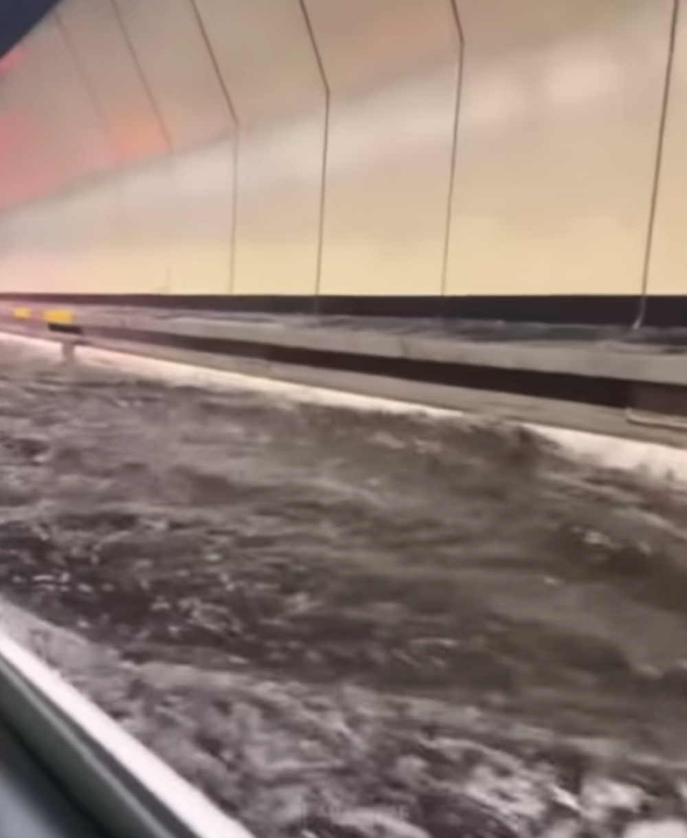 黃埔人•紅磡人•土瓜灣人 FB