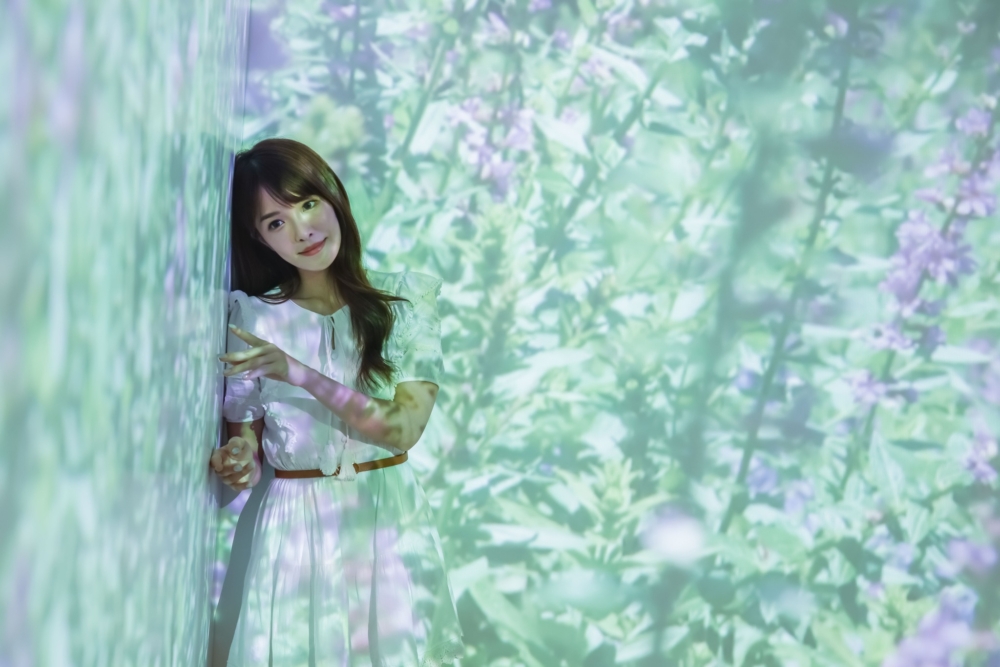 以光影流動突顯色彩之美～