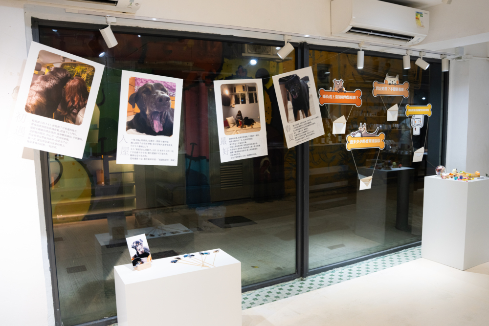 一直協助隻流浪動物的「柒啡」將會在西營盤舉行展覽。