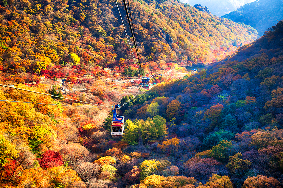 韓國賞楓熱點推介:內臟山。