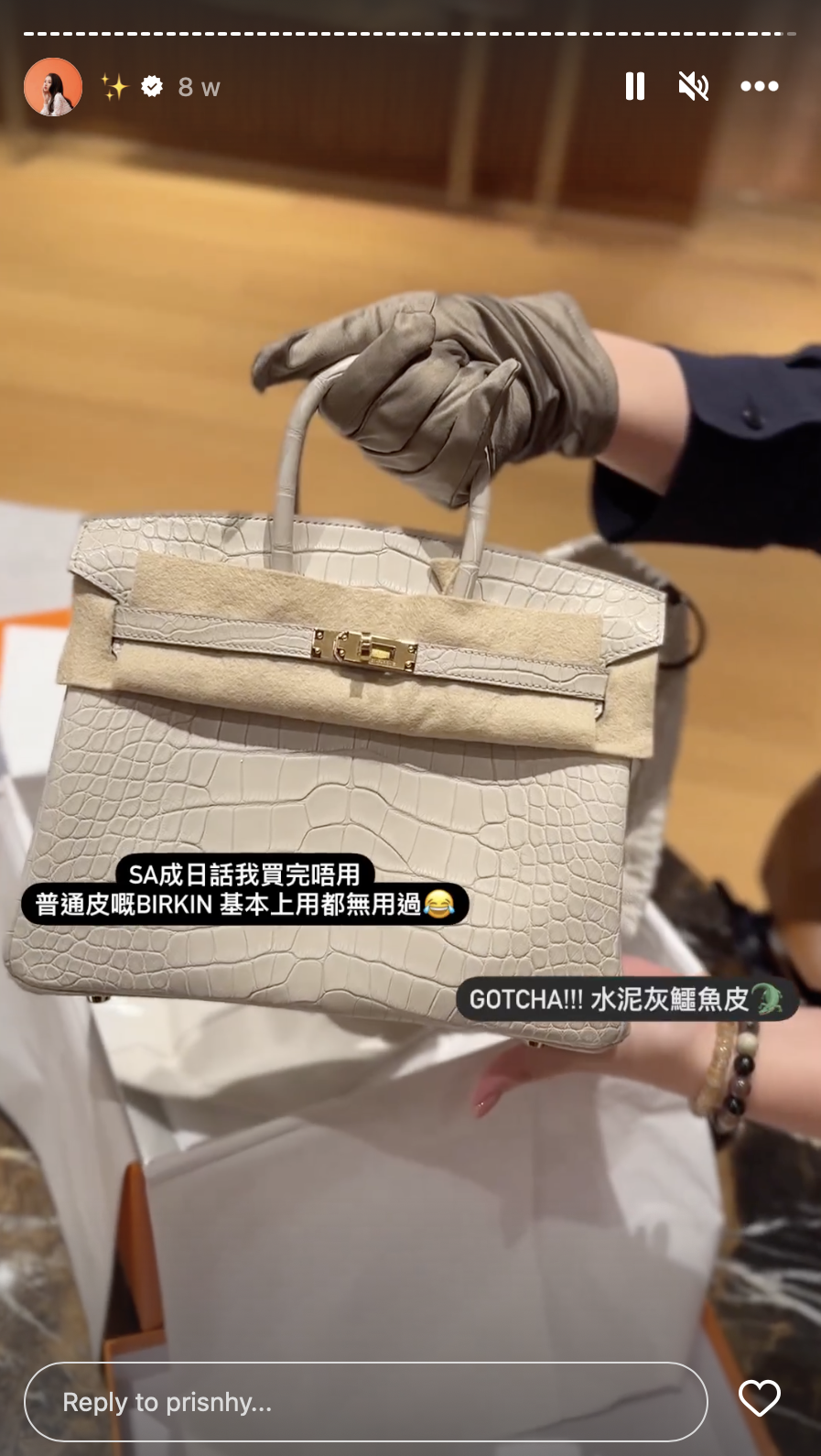 鱷魚皮Birkin