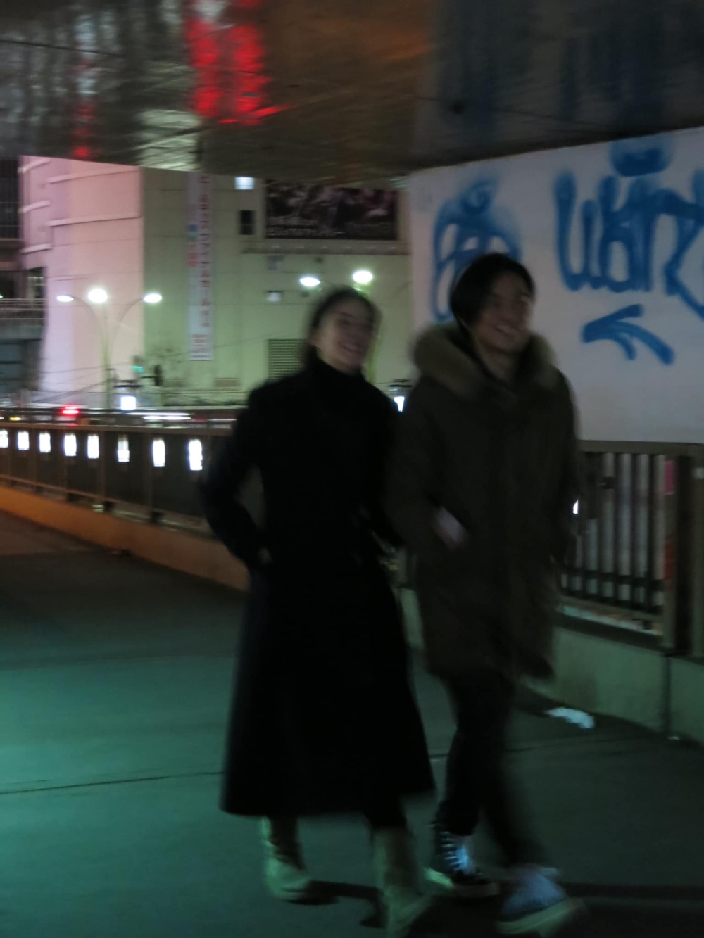 鄭伊健同蒙嘉慧不時喺日本居住,兩人喺日本亦持有物業。