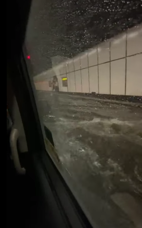 黃埔人•紅磡人•土瓜灣人 FB