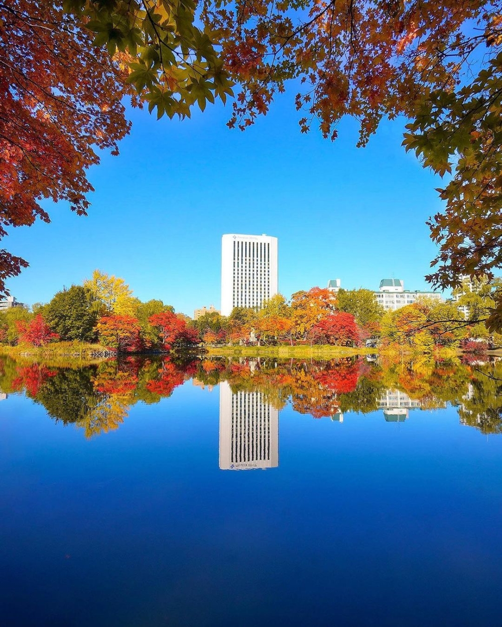 北海道賞楓景點推介：中島公園。