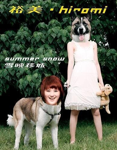 有網友將唱片封面改圖將裕美同狗仔嘅頭互換。