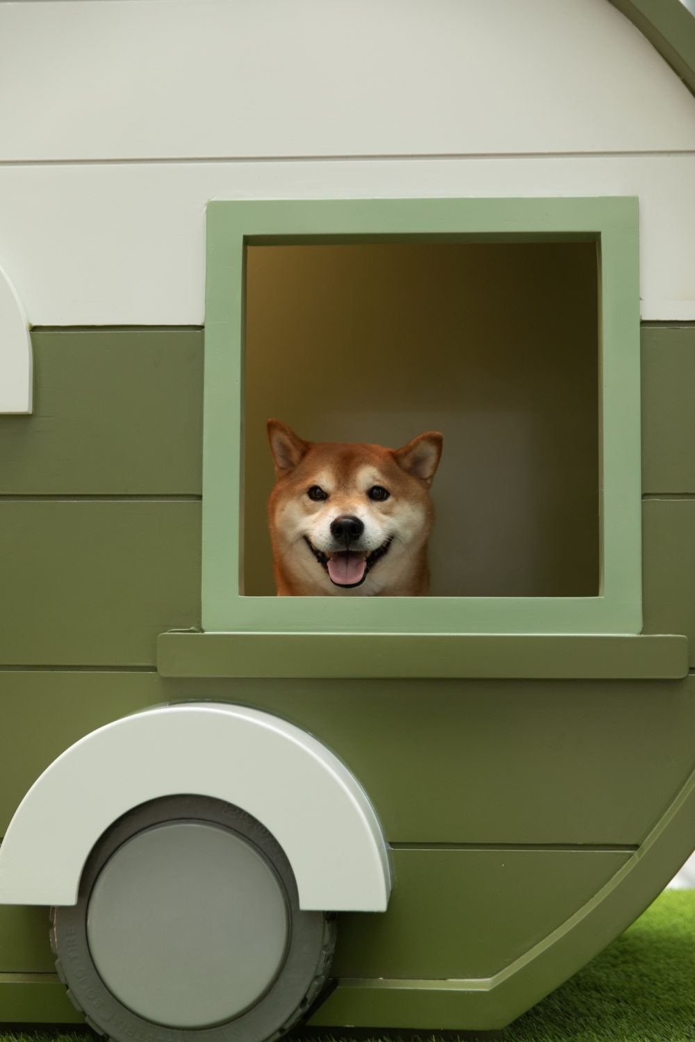 星街小區屬於寵物友善社區～