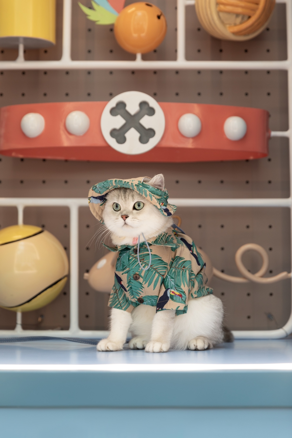 週末仲有舉辦慈善Pawsome市集！