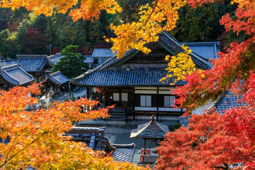 關西·近畿地區。