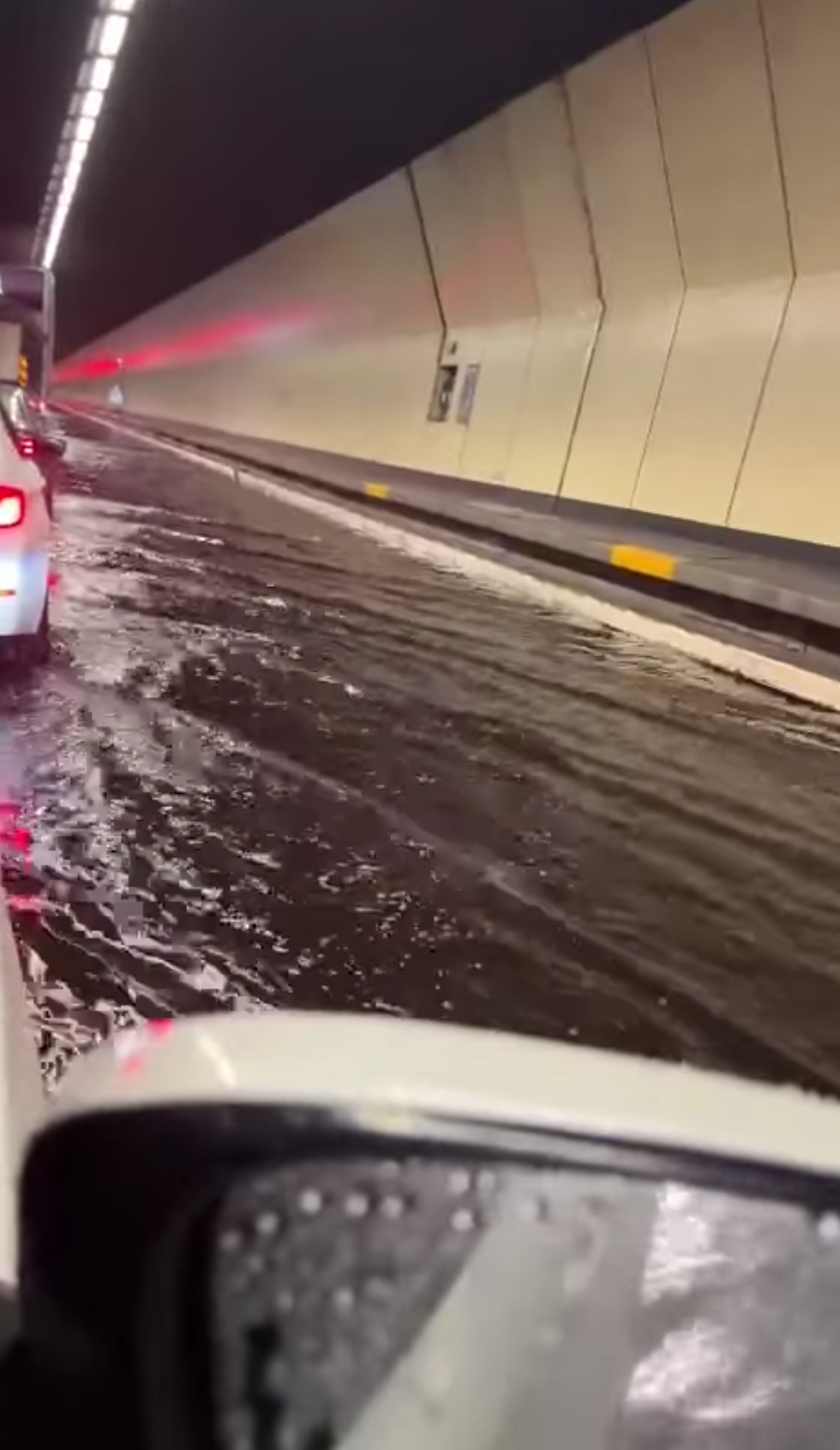 黃埔人•紅磡人•土瓜灣人 FB