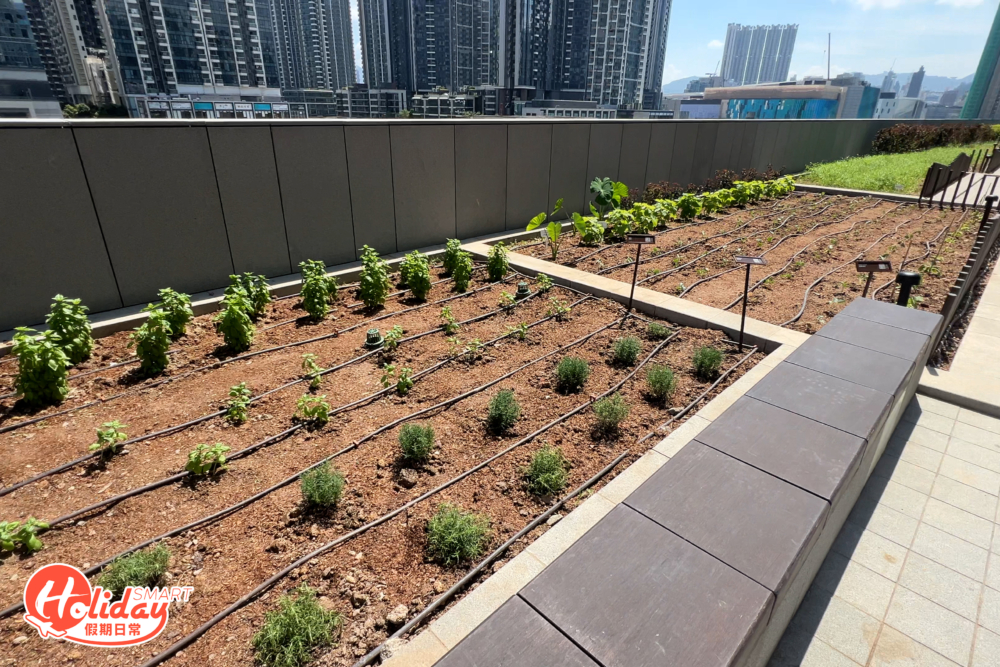 都市農莊AIR FARM將根據時令種植超過50款農作物，並定期於農圃為公眾及租戶舉辦都市種植工作坊，部份收成會與商場內的餐飲店共享，於城市中提供真正的農田直送（Farm-to-table）餐飲體驗。