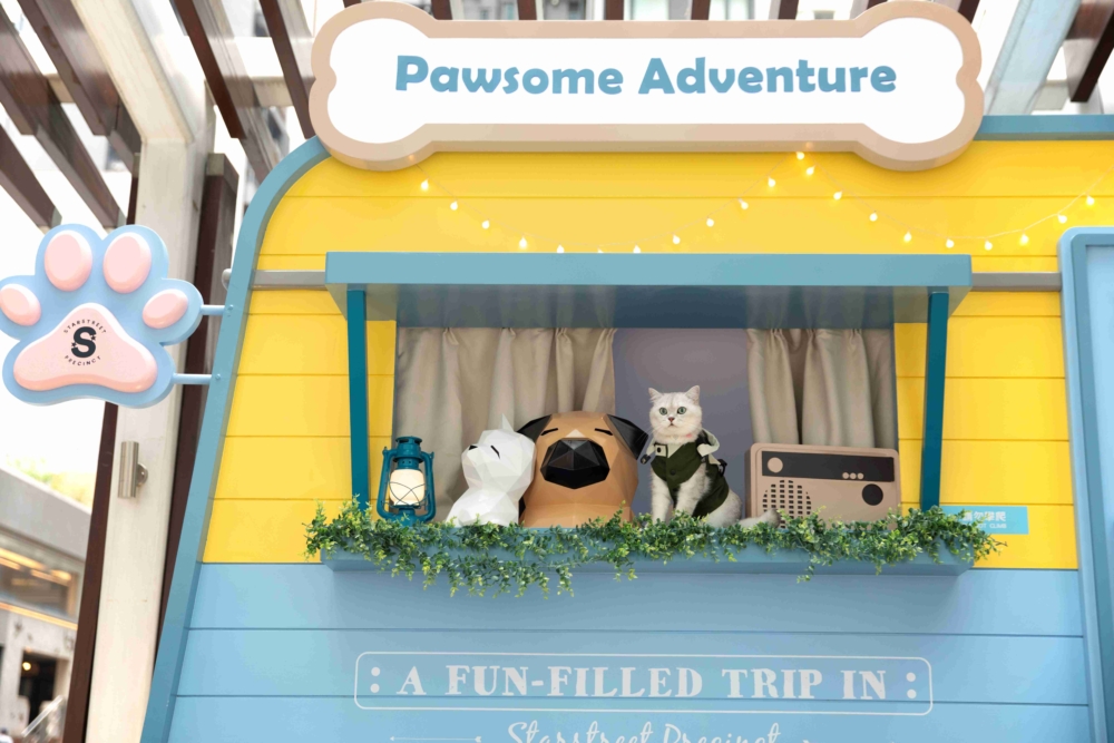 不同的探險主題場景影相打卡位！