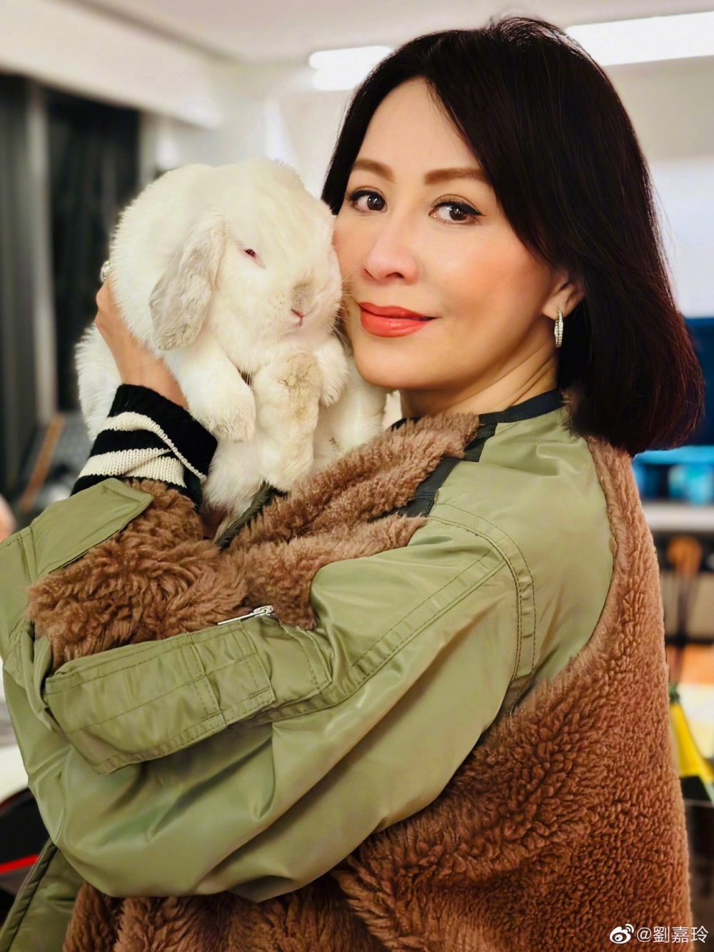 要溫柔對待兔子～