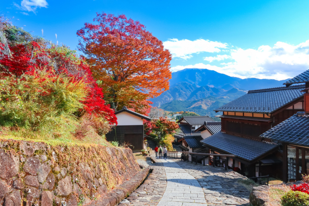 今年的日本紅葉或比上年推遲10天或以上。