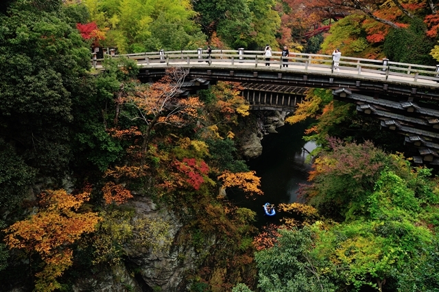 甲斐猿橋。