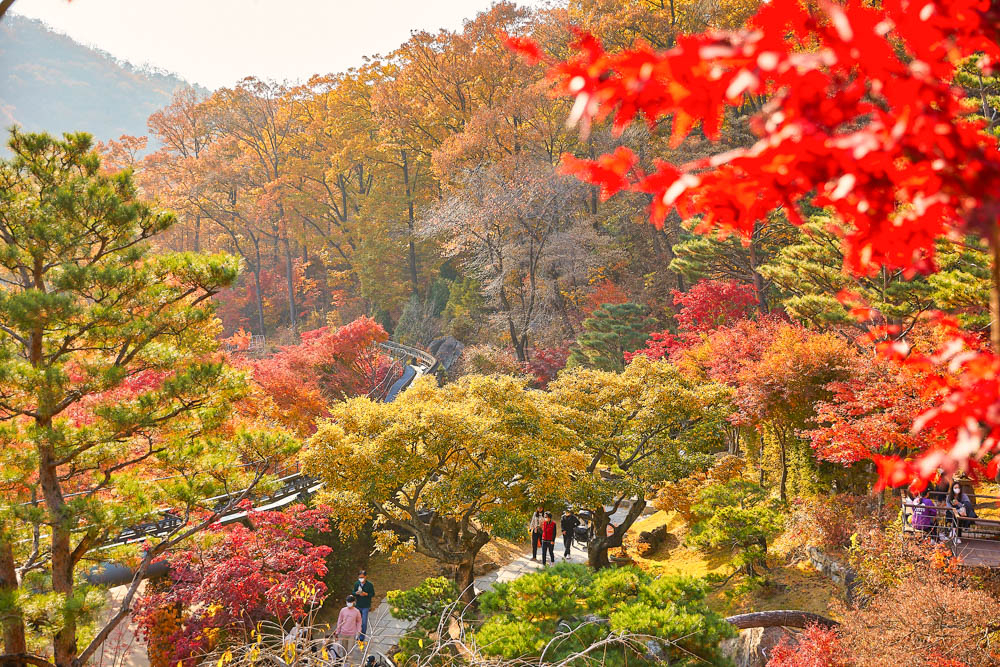和談林憑著獨有的大自然景觀及地勢山形,獲得2021年及2022年韓國觀光100選之一!