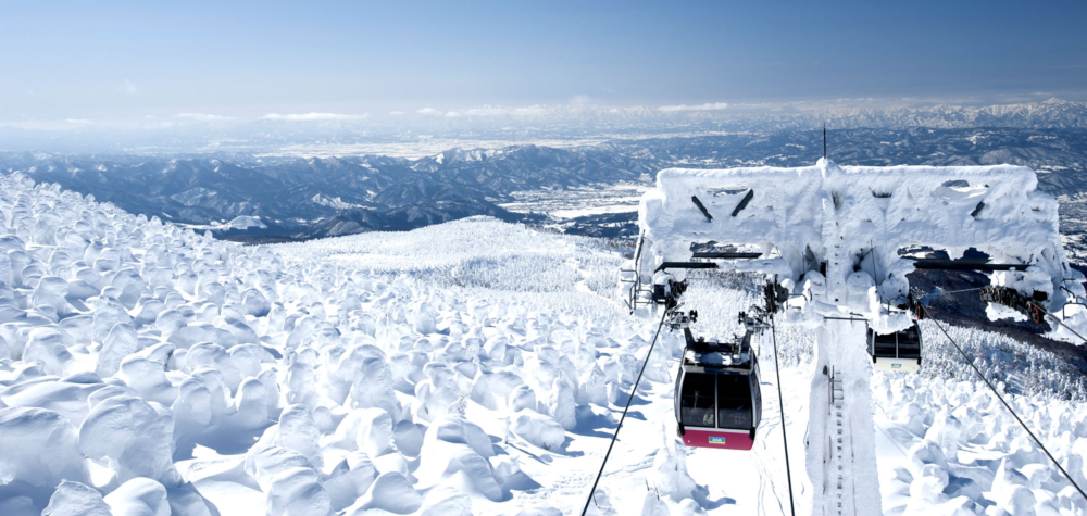 每年冬季，日本東北可以見到獨有的奇景「樹冰」！