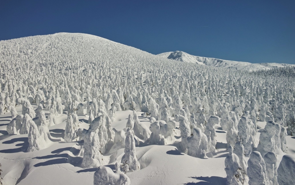 日本東北以「三大樹冰」著稱，其中以山形縣「藏王樹冰」最著名。