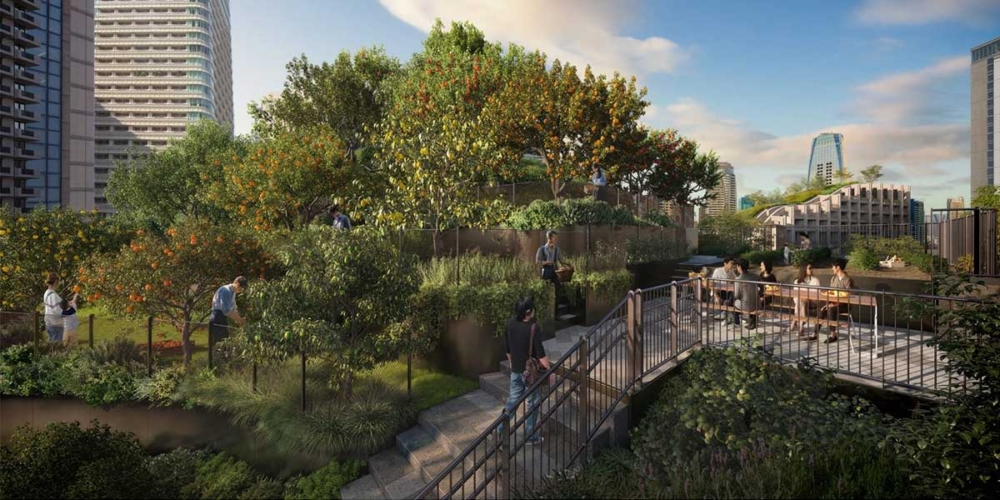 中央廣場開闢了一個菜園及果園，種植藍莓、檸檬及桃子等多達320種植物～