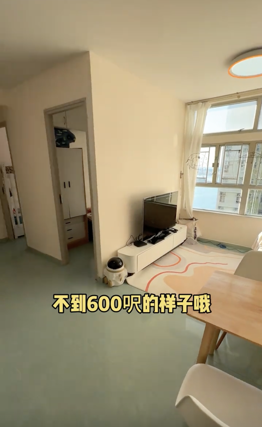 相反香港嘅屋企較少擺設，連玩具都無乜