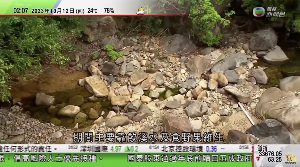 連日來只曾憲哲依賴著食樹葉野果和喝溪水維生。