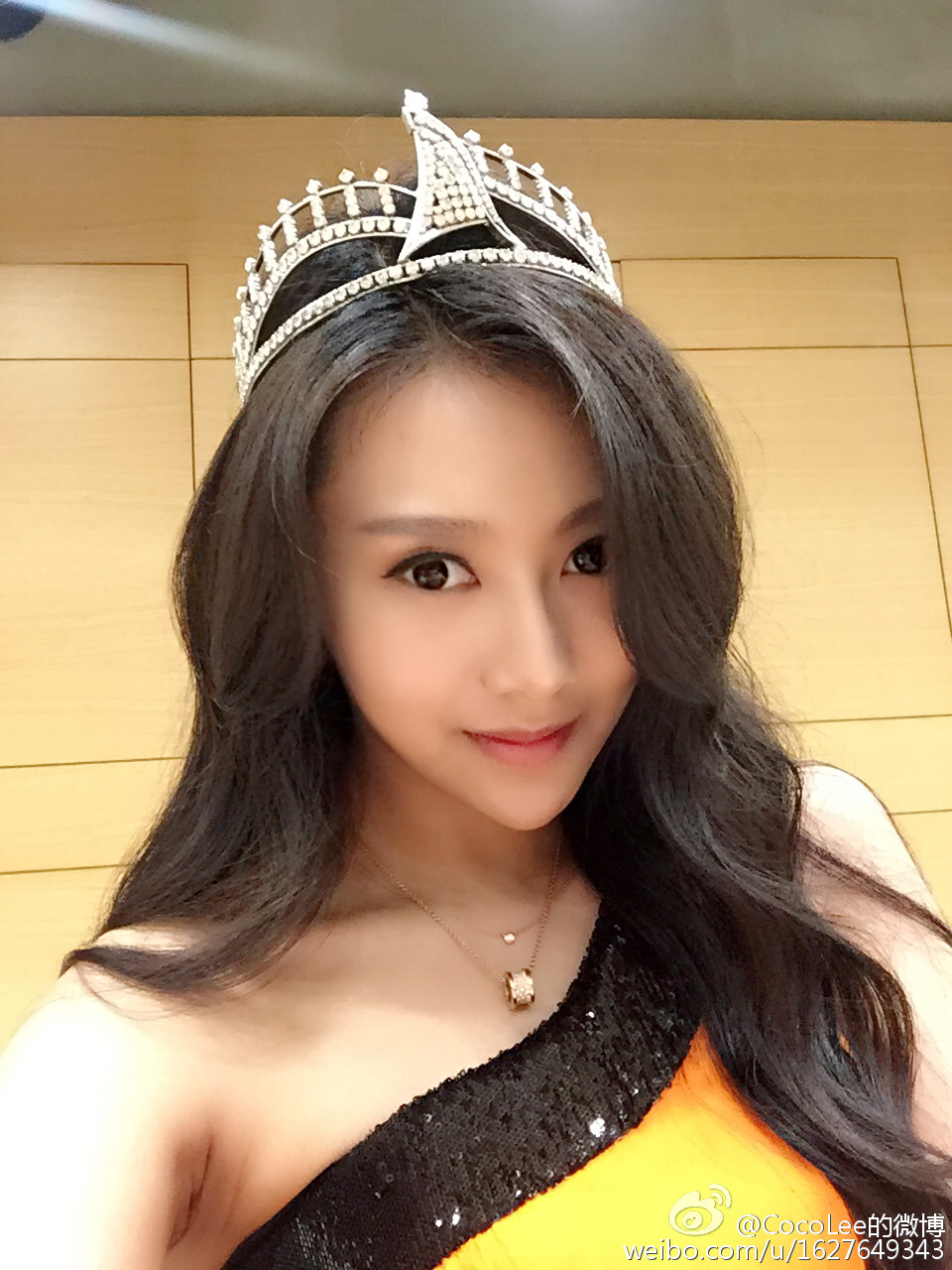 施南曾參加2014年的亞洲小姐競選，當時以李玲玉為名參賽