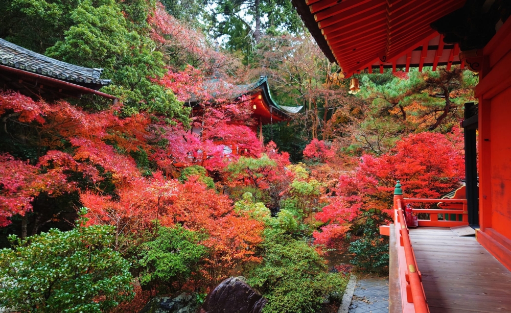 京都賞楓景點推介：毘沙門堂