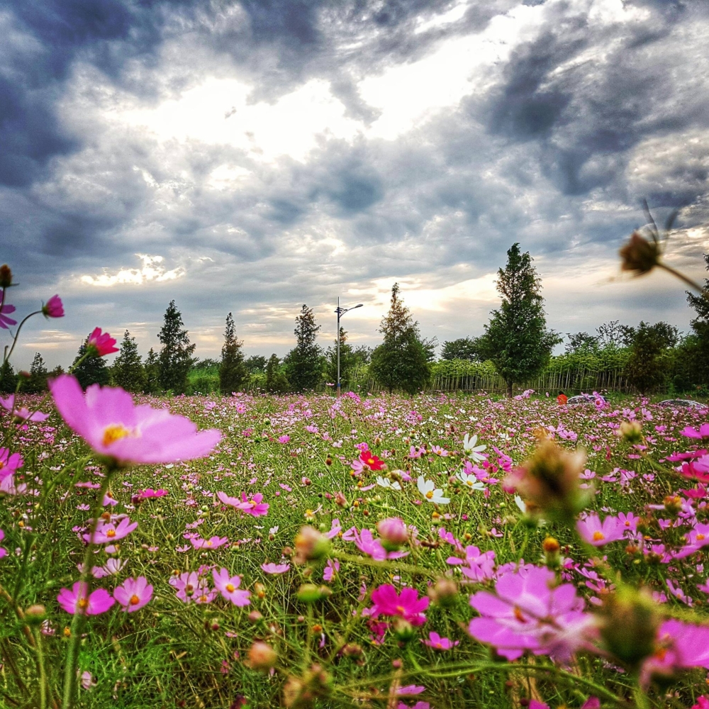 釜山大諸生態公園。