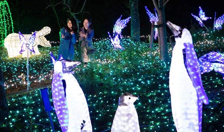 集合各種動物造型燈飾的光之動物園！