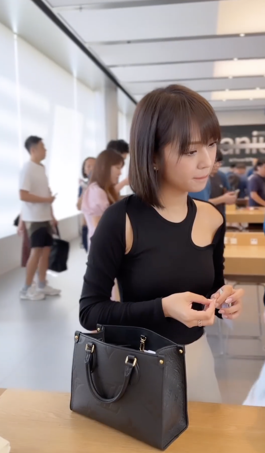LV OnTheGo PM手袋