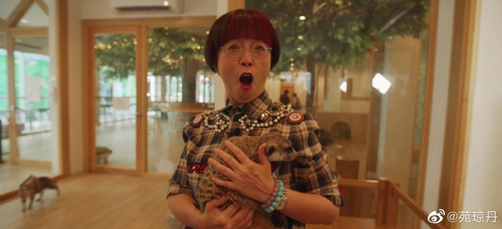 苑瓊丹出演過不少內地節目