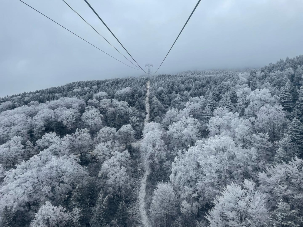 樹冰因奇特的形狀神似怪獸而被稱為「雪怪」。