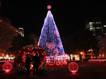 「願望鳥」聖誕樹燈飾區域。