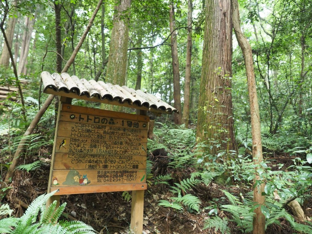 「龍貓森林」狹山丘陵！