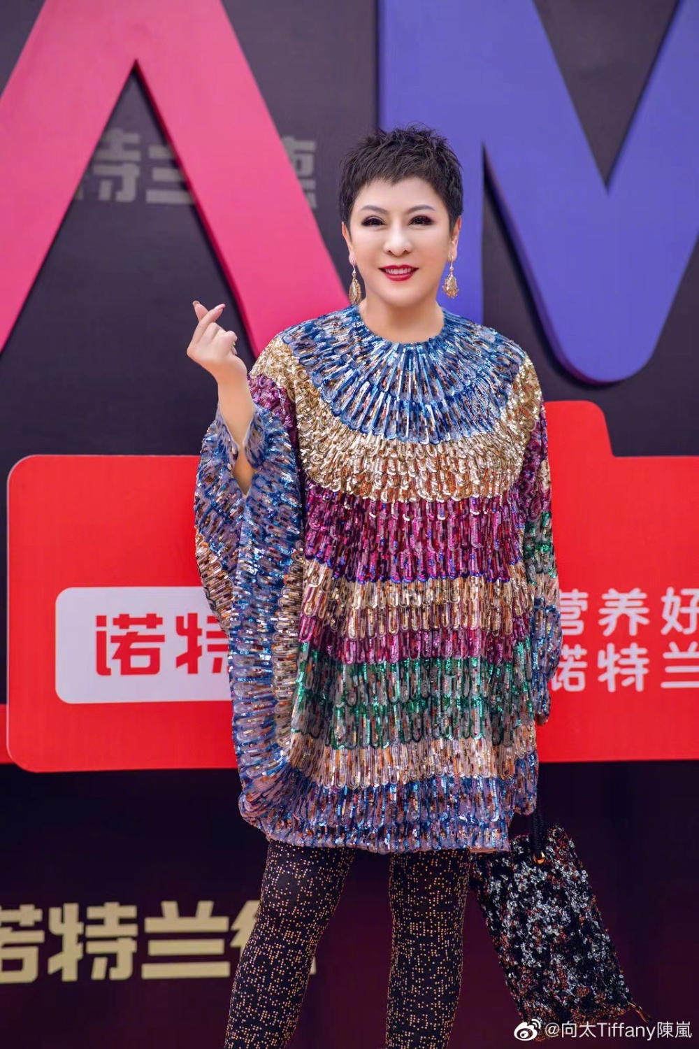 向太表示佢已經唔記得自己買嘅第一個名牌袋，而令佢印象深刻嘅名牌就係Hermès手袋。