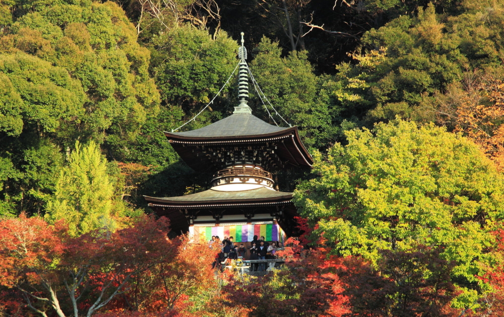 京都賞楓景點推介：永觀堂