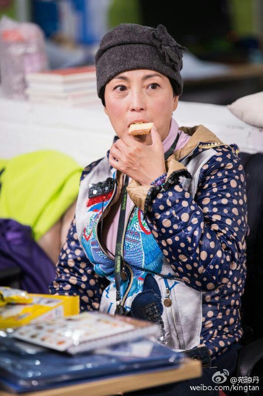 苑瓊丹算是較早一批北上發展的香港演員