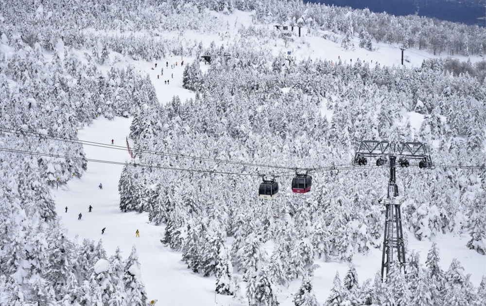 坐纜車眺望樹冰群超震撼絕景！