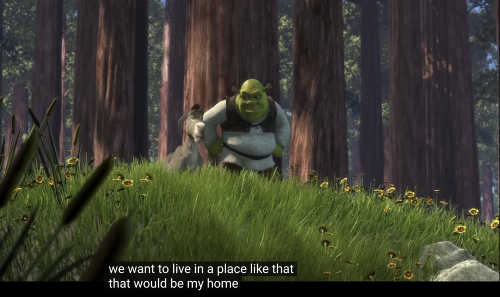 史力加好朋友驢子曾十分嫌棄他的沼澤屋！