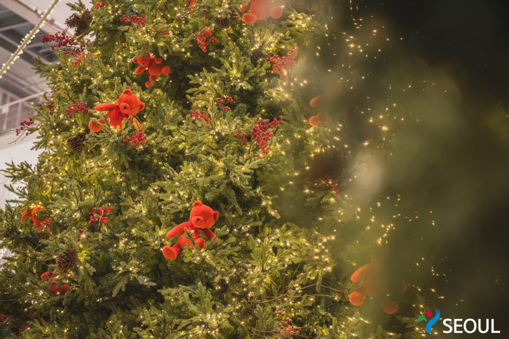 Harry熊仔再度回歸！